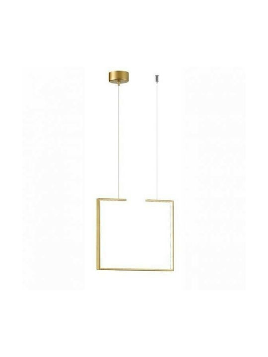 Luma Pendant Light LED with Warm White Light Bronze