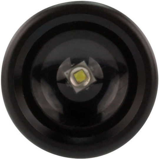 Ansmann Rechargeable Flashlight LED IP54 with Maximum Brightness 200lm Future T200F Black
