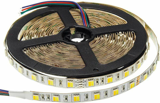 Optonica Waterproof LED Strip 24V Adjustable White Light 5m Type SMD5025
