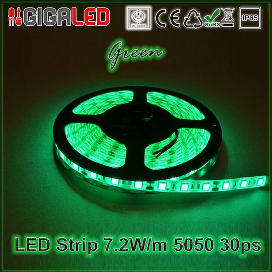 Atman Αδιάβροχη Ταινία LED 12V Πράσινο Φως 1m Τύπου SMD5050