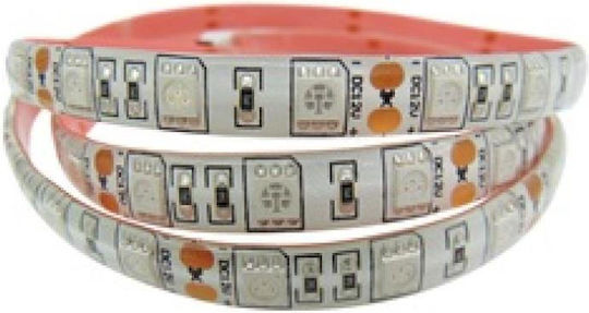 Водоустойчива LED Лента 12V RGB Светлина 1м Тип SMD5050