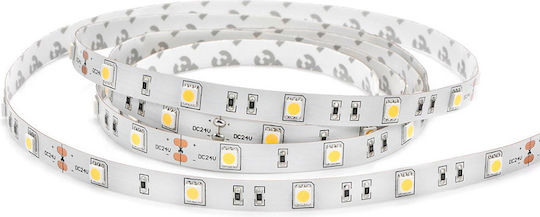 Lucas Ταινία LED 12V Ψυχρό Λευκό Φως 5m Τύπου SMD5050