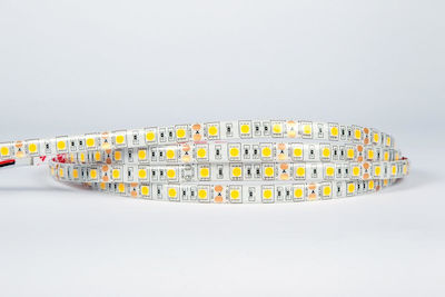 VK Lighting Bandă LED Alimentare 12V cu Lumină Alb Cald Lungime 5m și 60 LED-uri pe Metru SMD5050
