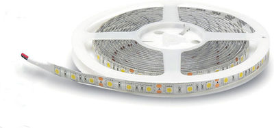 Rezistentă la apă Bandă LED Alimentare 12V cu Lumină Alb Cald Lungime 5m și 30 LED-uri pe Metru SMD5050