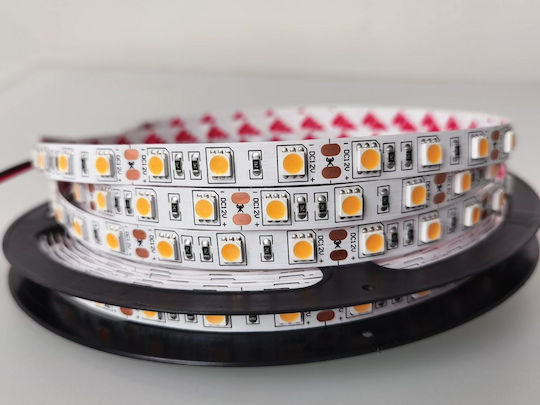 VK Lighting LED Strip 12V Orange Light 5m Type SMD5050