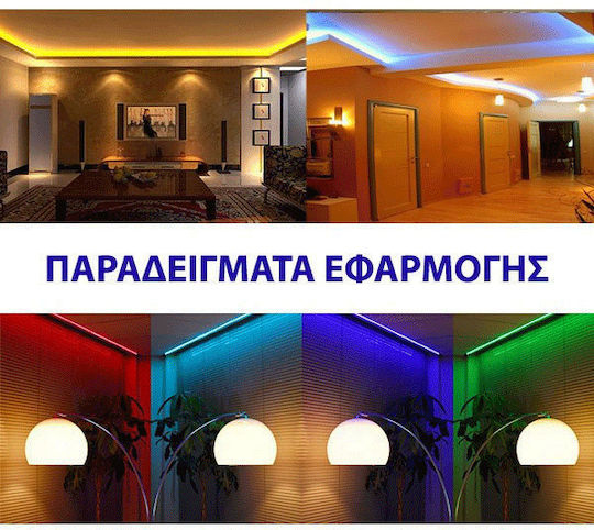 Eurolamp Ταινία LED 12V Μπλε Φως 5m Τύπου SMD2835