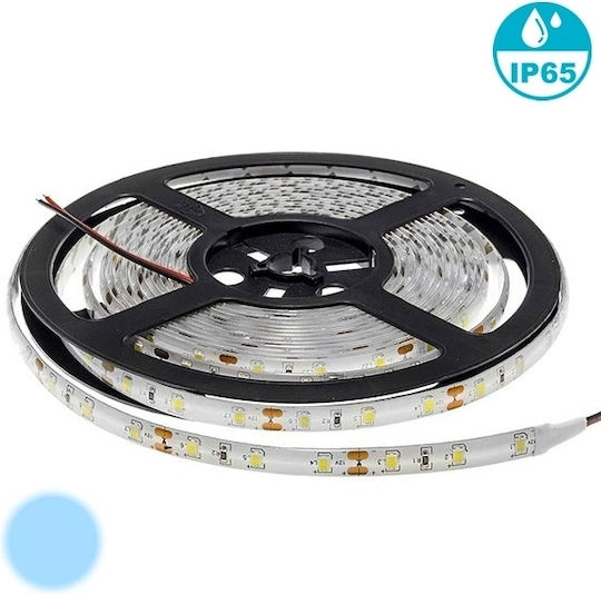 Optonica LED Strip 12V Cold White Light 5m Type SMD5050