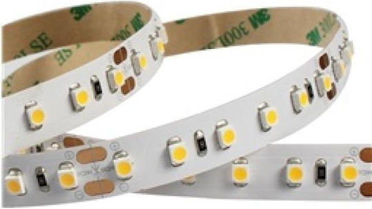Wasserdicht LED-Streifen 12V Rot Licht 1m Typ SMD3528