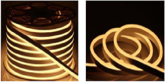 Universe Αδιάβροχη Ταινία LED 220V Μπλε Φως 1m Neon Flex