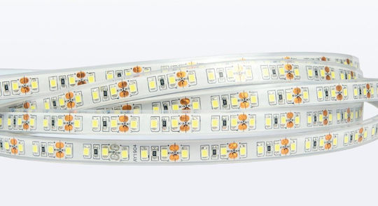 VK Lighting Waterproof LED Strip 24V Warm White Light 5m Type SMD3528