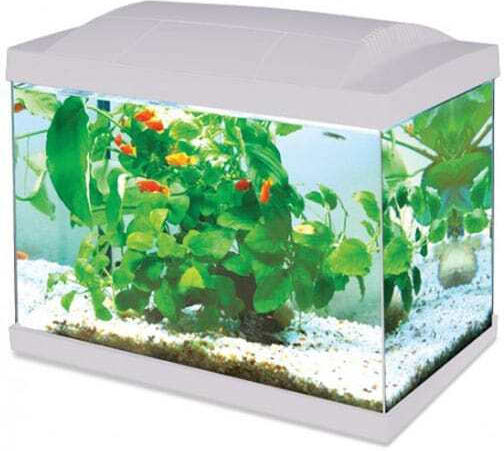 Hailea K-60 Aquarium 60lt with Lighting and Filter 59x31x45.6cm White