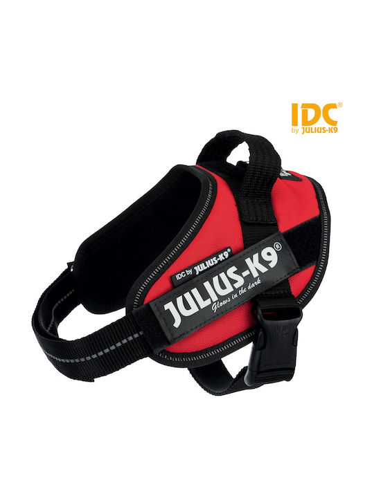 Julius-K9 Roșu Mini
