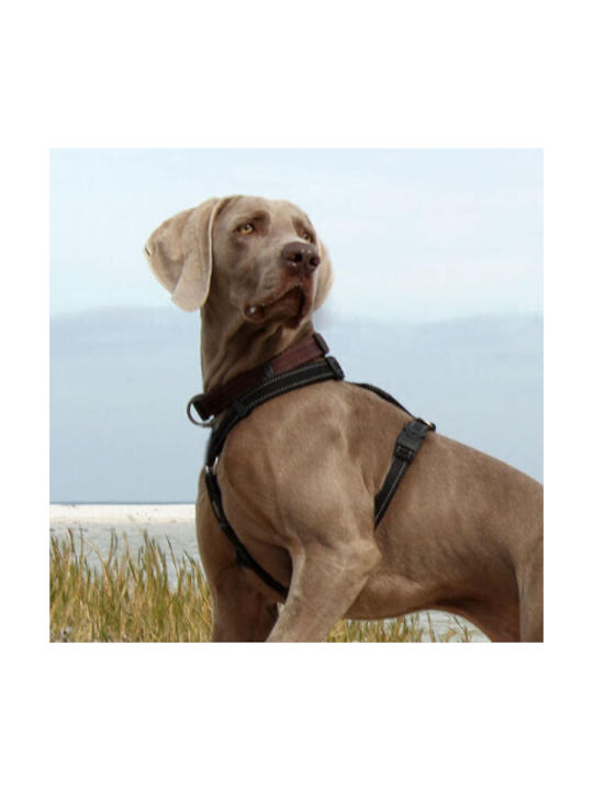 Rogz Hundegeschirr Utility Classic Gelb Mittel 32-52cm RGSJ11H