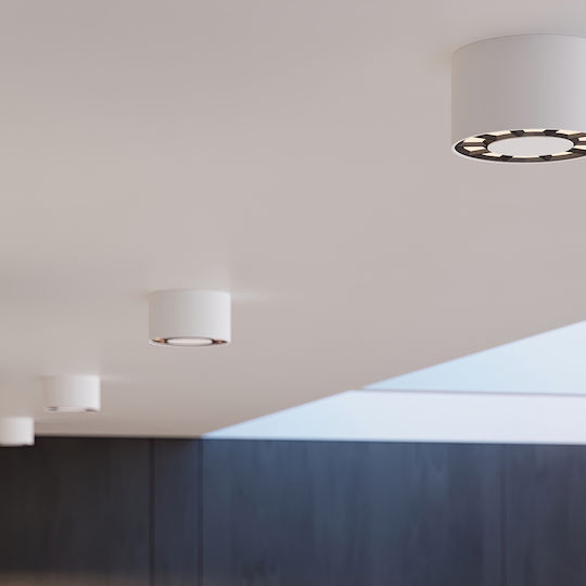 Sollux Single LED Natural White Spot in White Color