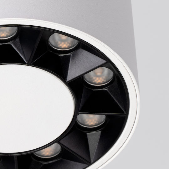 Sollux Single LED Natural White Spot in White Color