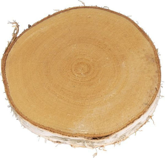 Rayher Trunchi de Arbore 17x15buc Grosime 2mm