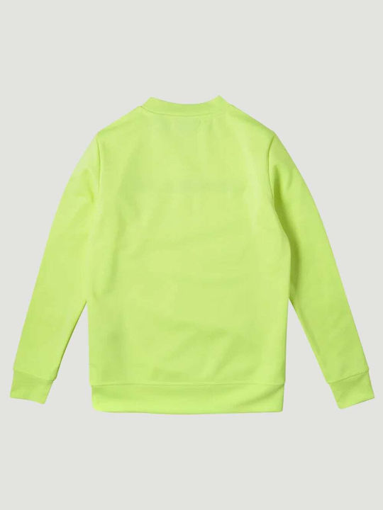 O'neill Kids Fleece Sweatshirt Yellow