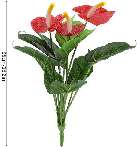 Хвощ (Anthurium) в саксия Хвощ (Anthurium) в саксия
