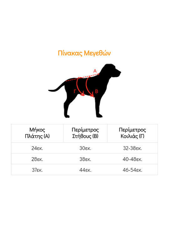 Woofmoda Dog Dress