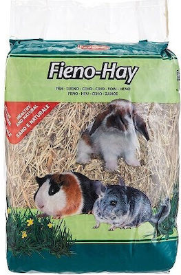 Padovan Grass for Rabbit, Guinea Pig and Chinchilla 1kg