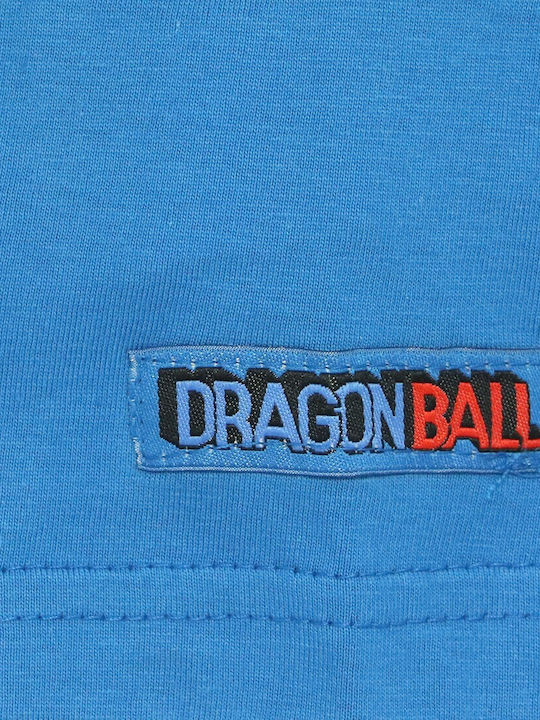 Toei Animation
