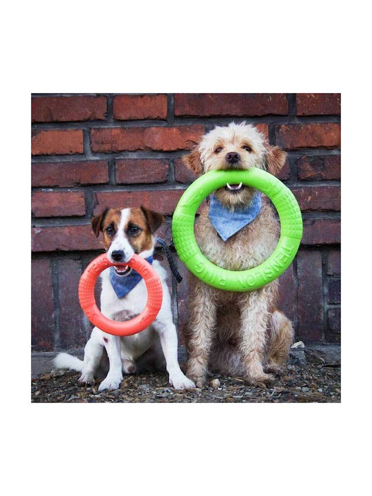 Akinu Trainingsspielzeug Hund Mit Sound 26εκ. Rot
