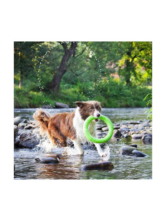 Akinu Trainingsspielzeug Hund Mit Sound 26εκ. Grün