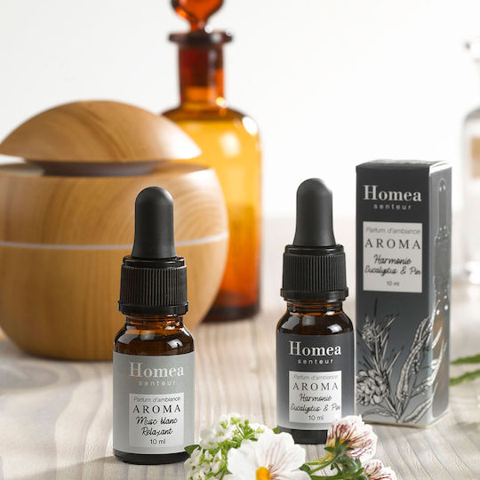 Aromatisches Öl Eucalyptus and Pine 10ml 1Stück 6AMB006