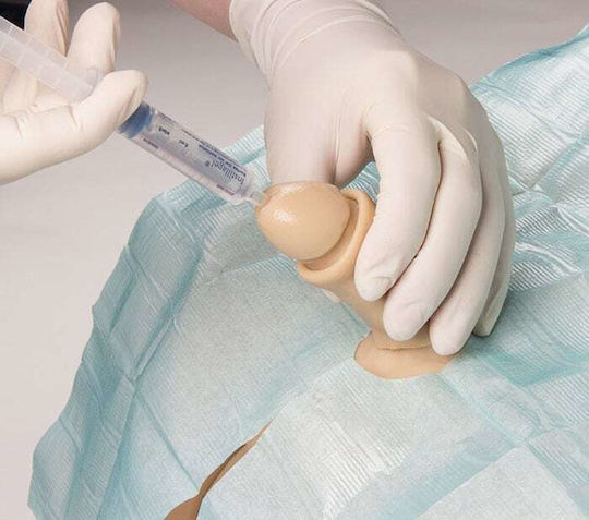 Erler Zimmer Modell Interaktives Training & CPR