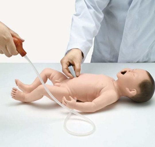 Erler Zimmer Πρόπλασμα Διαδραστικής Εκπαίδευσης & CPR