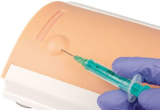 Erler Zimmer Manechin de antrenament Formare interactivă și CPR