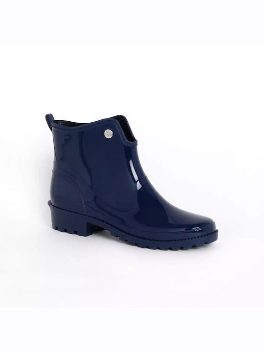 Scholl