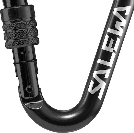 Salewa Hms Screw G2 Lockable Carabiner 1 Piece