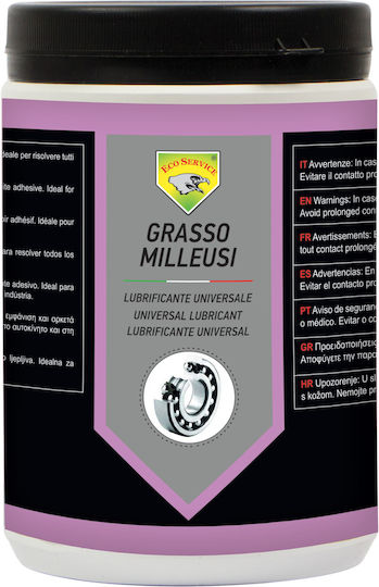 Eco Service Fett Allgemeine Verwendung Grasso Milleusi 900ml