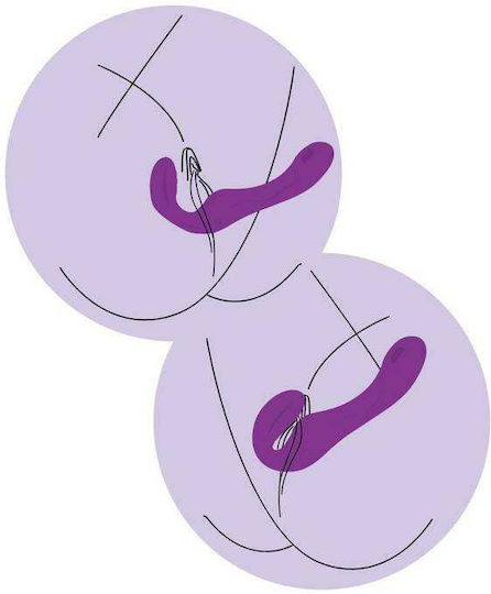 Xocoon Strapless Strap On με Dildo με Δόνηση σε Μωβ Χρώμα