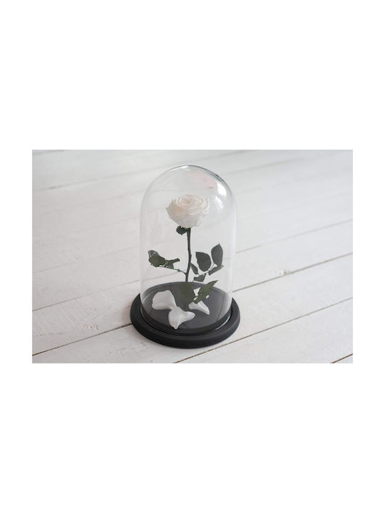 Trandafir Etern White 22cm în Yala cu LED