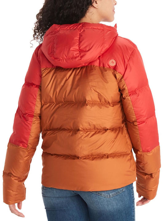 Marmot