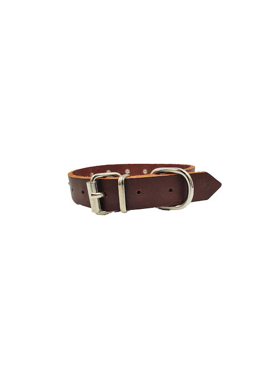 ByLeather Κολάρο Δερμάτινο σε Καφέ χρώμα Small 45cm ByLeather Κολάρο Δερμάτινο σε Καφέ χρώμα Small 45cm