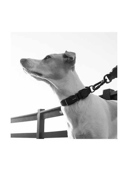 Zee-Dog Hundehalsband in Schwarz Farbe Klein