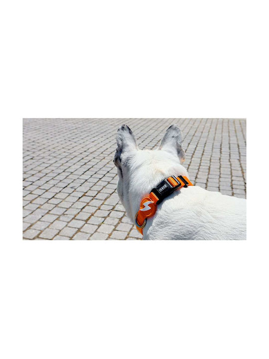 Dashi Dog Collar in Orange color Small