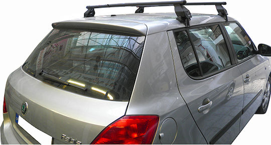 Americat Kit (with Roof Rack Legs) Silver