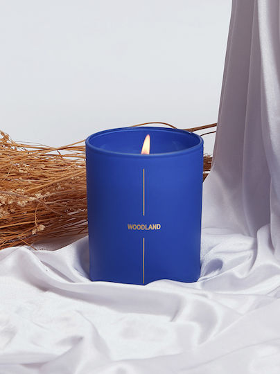 Celestino Aromatisches Kerze in Gefäß mit Duft Holz 140g