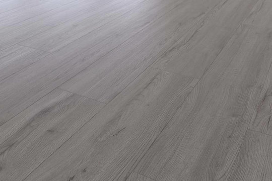 Standard Plus D4175