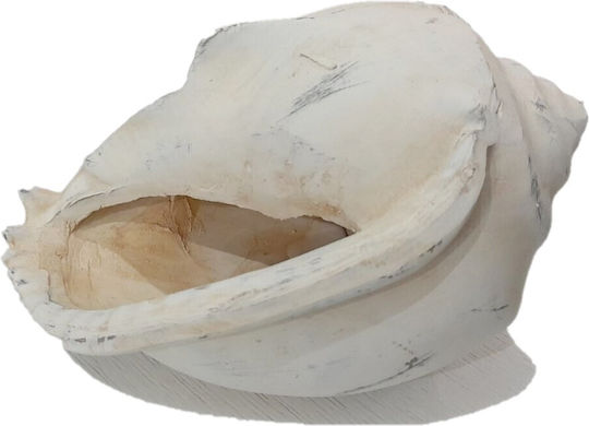 Ixia Regal Dekoratives Muscheln aus Keramik 18.7x14.2x11.2cm 1Stück