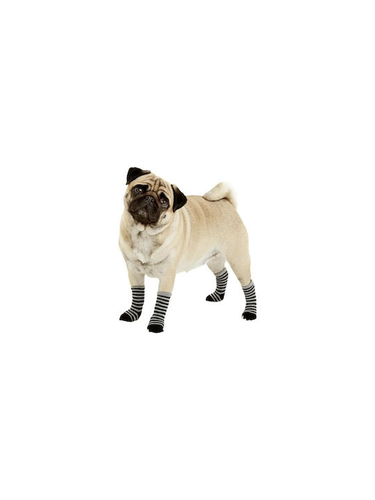 Flamingo Socks Dog in Black Color Flamingo Socks Dog in Black Color