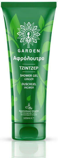 Garden Wishing Soft Skin Ginger Skin Care Set for Body Cleaning 2pcs