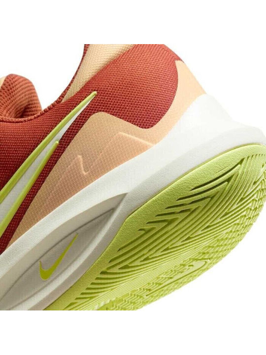 Precision 6 Niedrig Basketballschuhe Braun