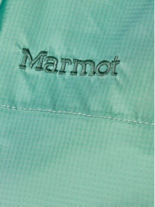 Marmot