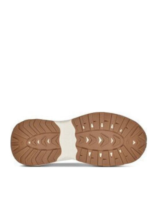 Teva