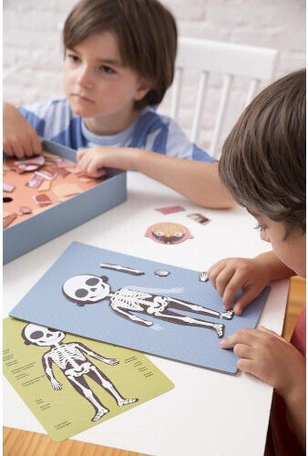 Apli Kids Το Ανθρώπινο Σώμα Εκπαιδευτικό Παιχνίδι Γνώσεων για 5+ Ετών
